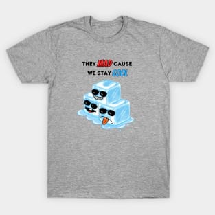 They Mad Cause We Stay Cool T-Shirt